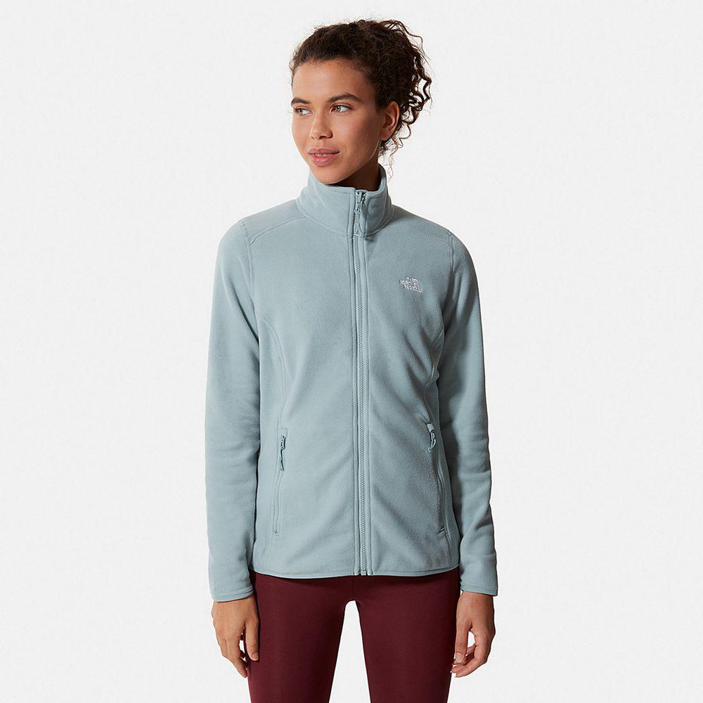 The North Face 100 Glacier Full-Zip Γυναικεια Fleece - Ασημι Μπλε (TDFQ80341)